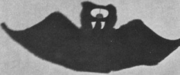 Mystery Physics Image